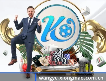 wangye-xiongmao.com.cn APP 深度功能